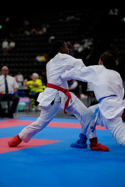 This photo was taken during the 2026 Karate International Basel Open Masters 2026 in Basel - Schweiz.