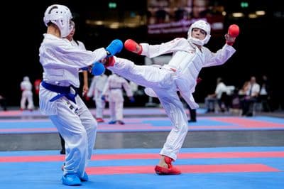 This photo was taken during the 2026 Karate International Basel Open Masters 2026 in Basel - Schweiz.
