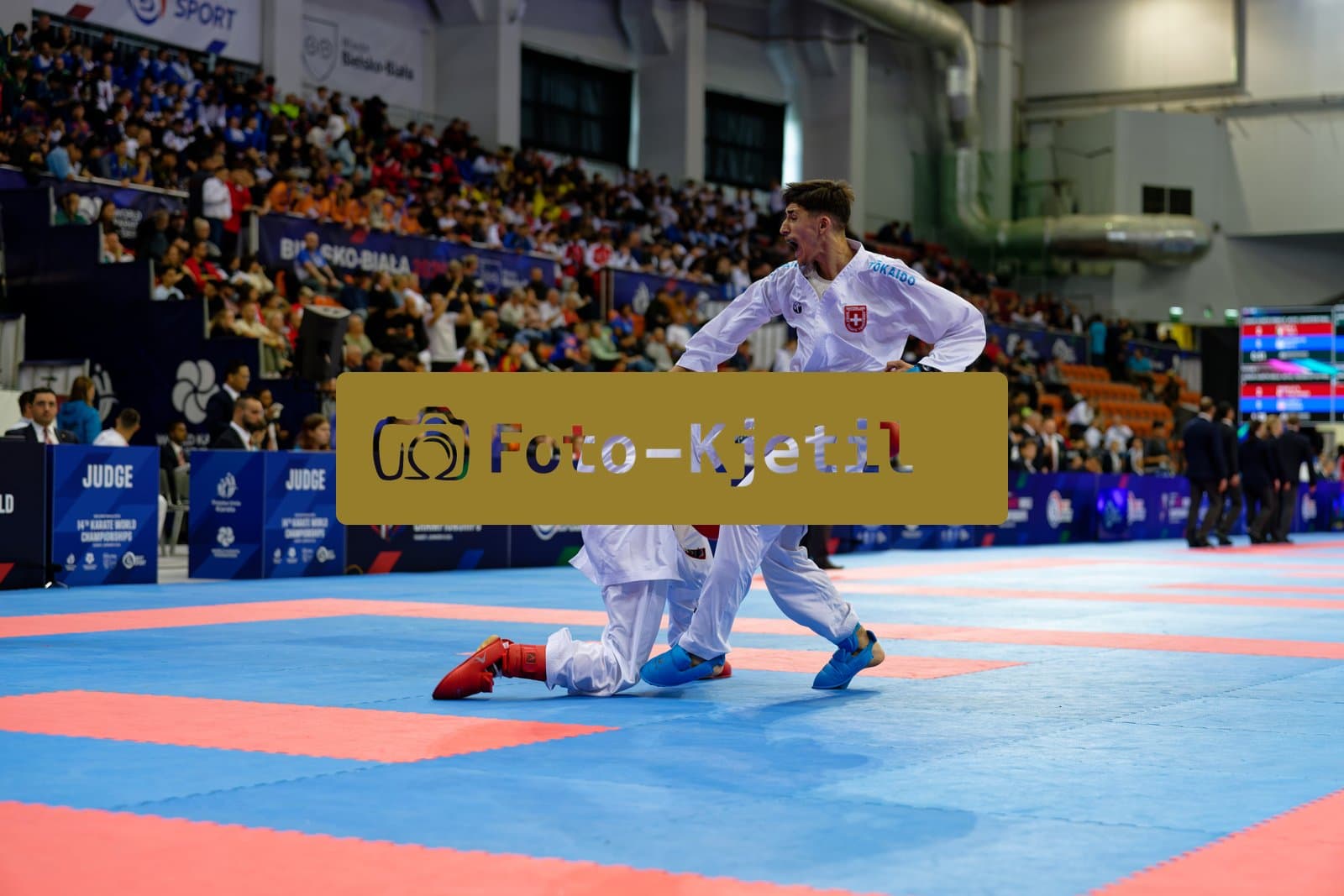This photo was taken during the 2026 Karate Cadet, Junior & U21 World Championships in Bielsko-Biala - Poland.