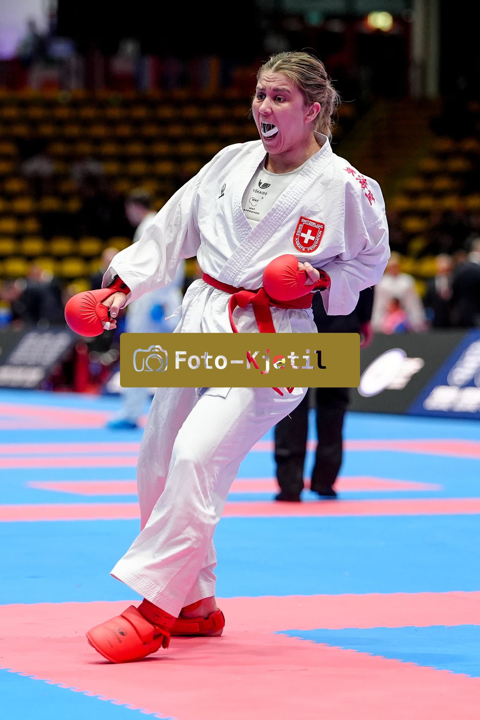 This photo was taken during the 2026 Karate EKF Senior Championships Frankfurt in Frankfurt am Main - Deutschland.