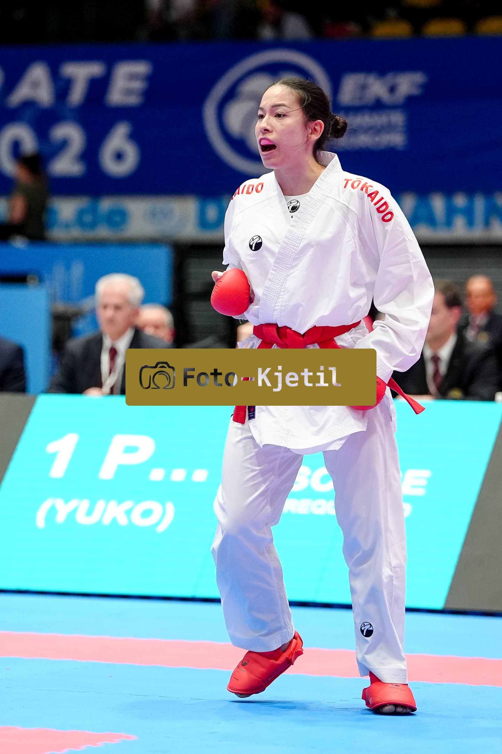 This photo was taken during the 2026 Karate EKF Senior Championships Frankfurt in Frankfurt am Main - Deutschland.