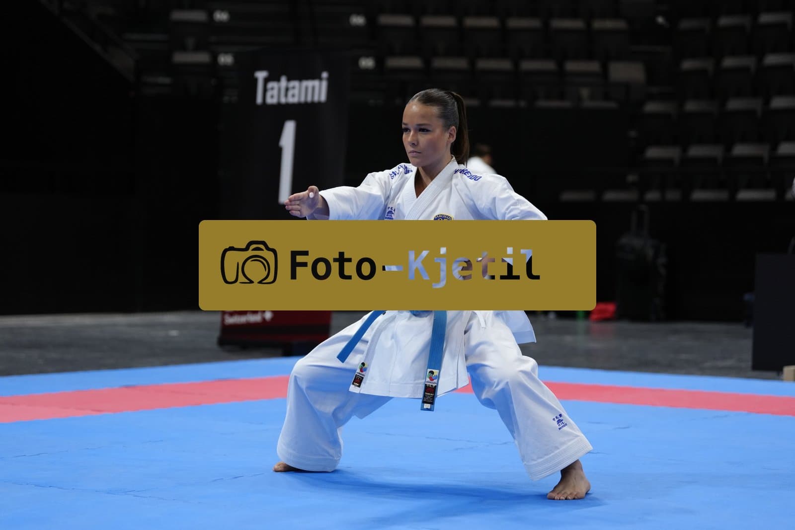 This photo was taken during the 2026 Karate International Basel Open Masters 2026 in Basel - Schweiz.