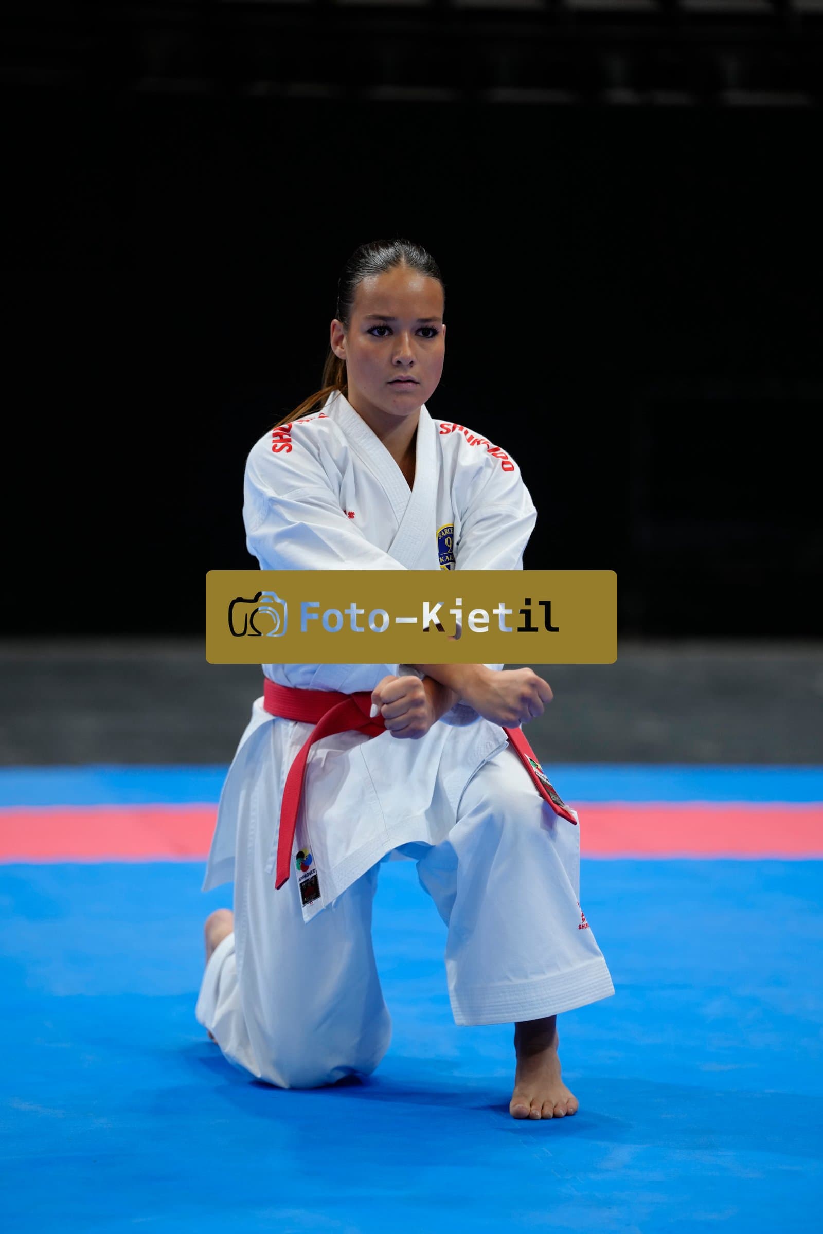 This photo was taken during the 2026 Karate International Basel Open Masters 2026 in Basel - Schweiz.