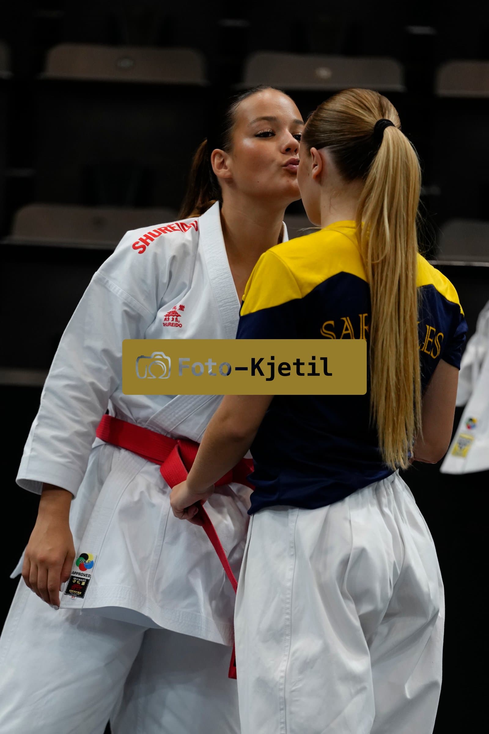This photo was taken during the 2026 Karate International Basel Open Masters 2026 in Basel - Schweiz.