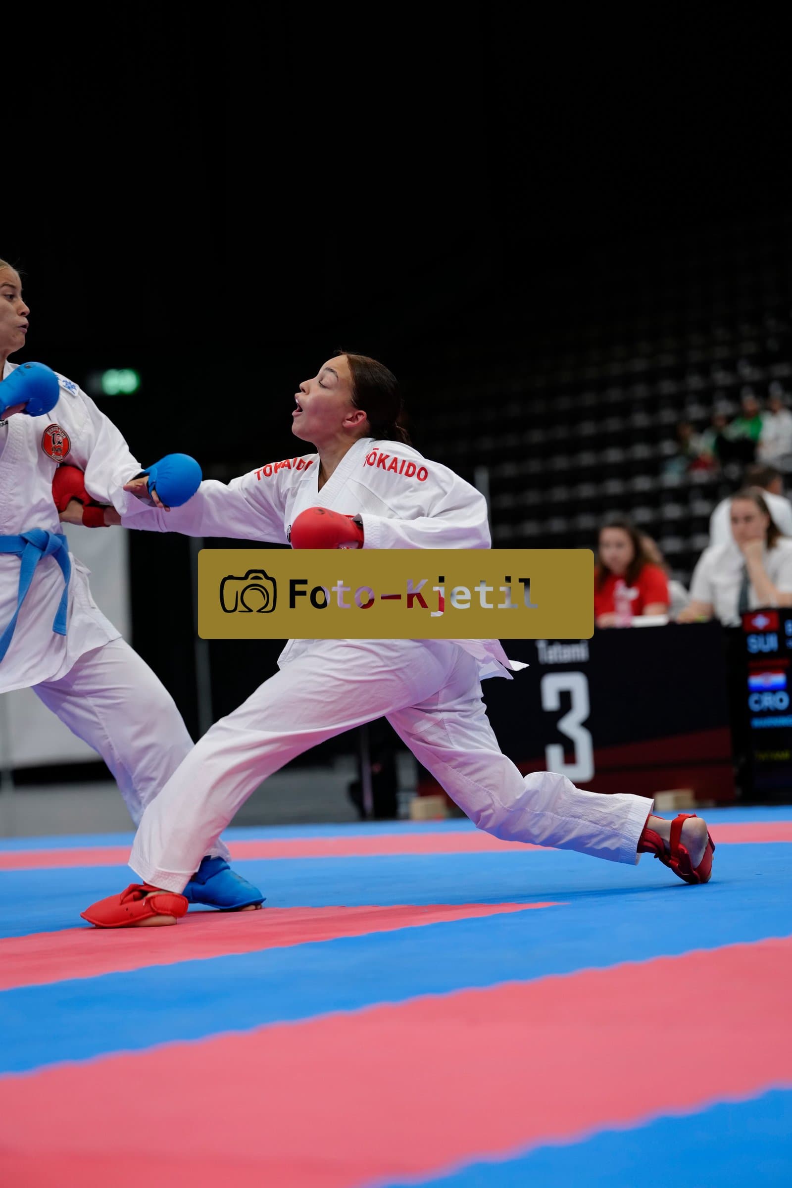 This photo was taken during the 2026 Karate International Basel Open Masters 2026 in Basel - Schweiz.