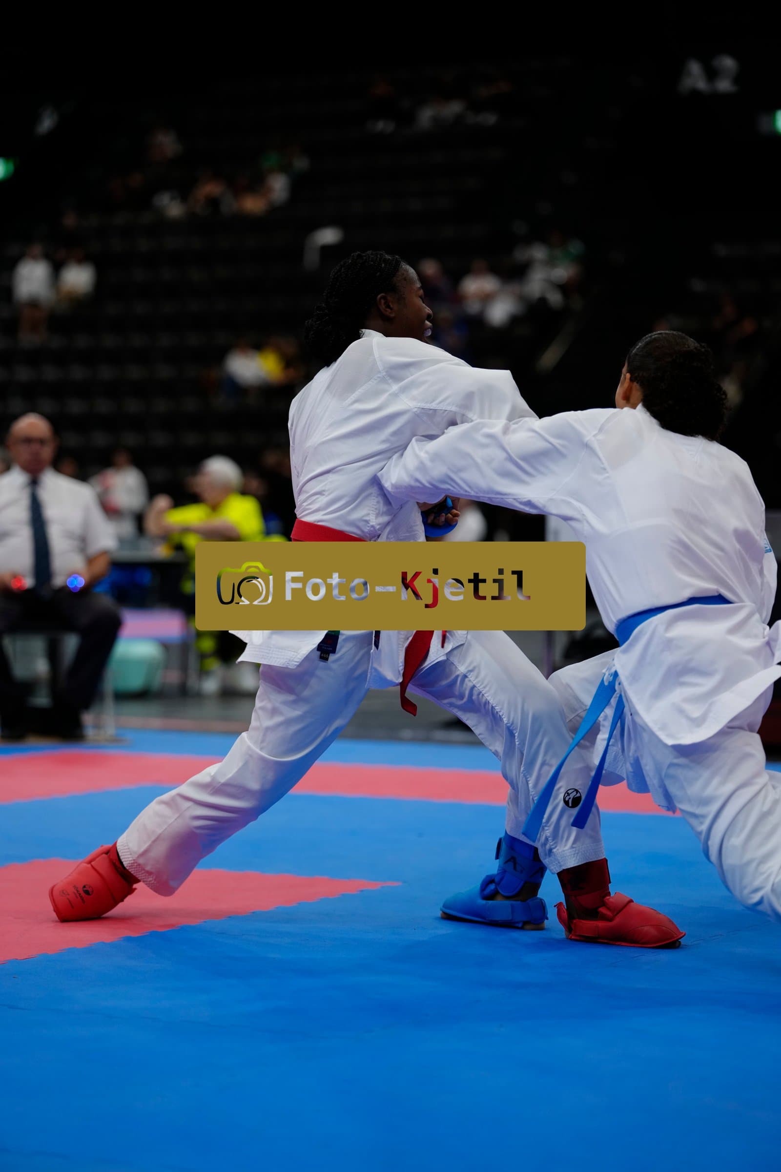 This photo was taken during the 2026 Karate International Basel Open Masters 2026 in Basel - Schweiz.