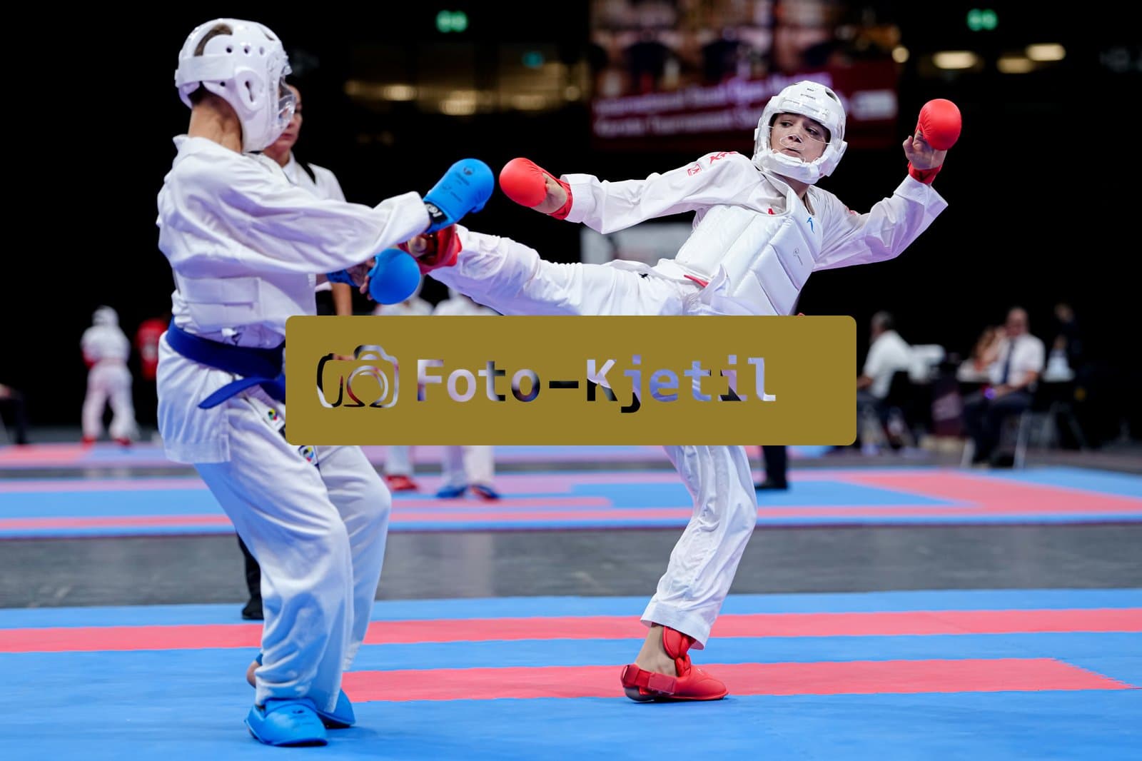 This photo was taken during the 2026 Karate International Basel Open Masters 2026 in Basel - Schweiz.