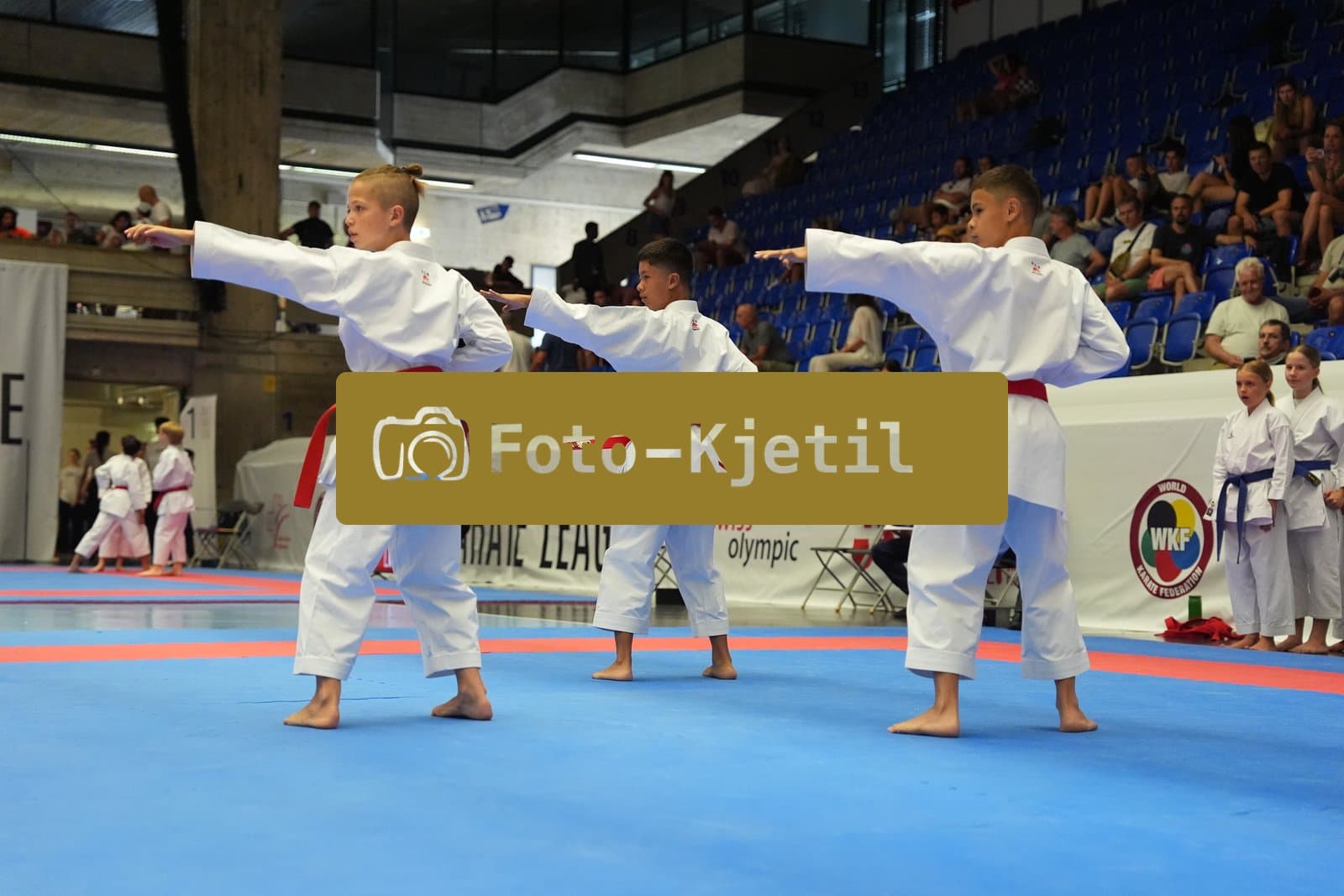 This photo was taken during the 2026 Karate Swiss Karate League Zürich - Saalsporthalle 2026 in Zürich - Schweiz.