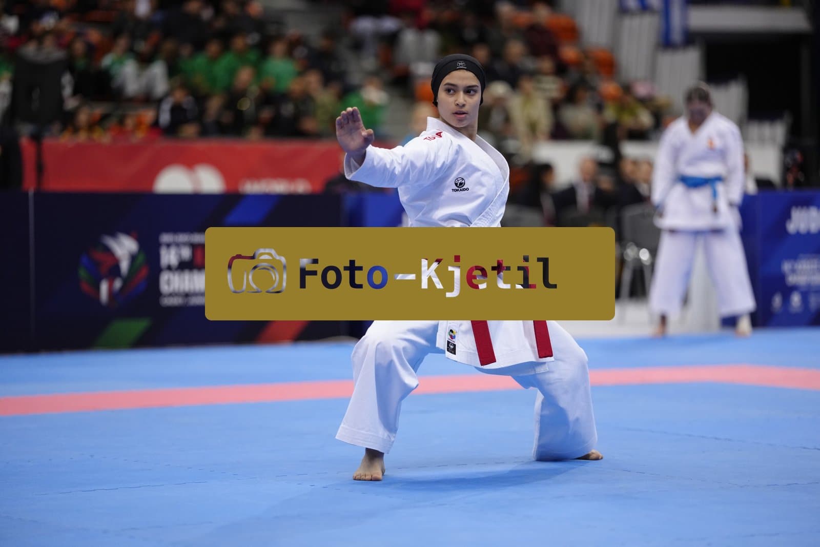 BIELSKO-BIALA, POLAND - OCTOBER 17: This photo was taken during the 2026 World Cadet, Junior & U21 Karate Championships at Hala Pod Debowcem on October 17, 2026 in Bielsko-Biala, Poland.