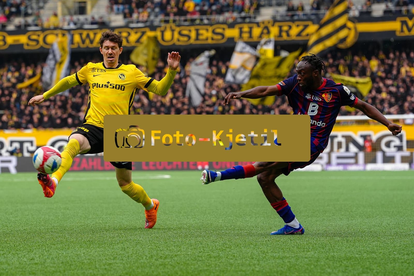Schweiz: Brack Super League 2025/26, BSC Young Boys vs FC Basel 1893 - Wankdorf Stadion, Bern: Benie Traore (11 FCB) gegen Christian Fassnacht (16 YB)