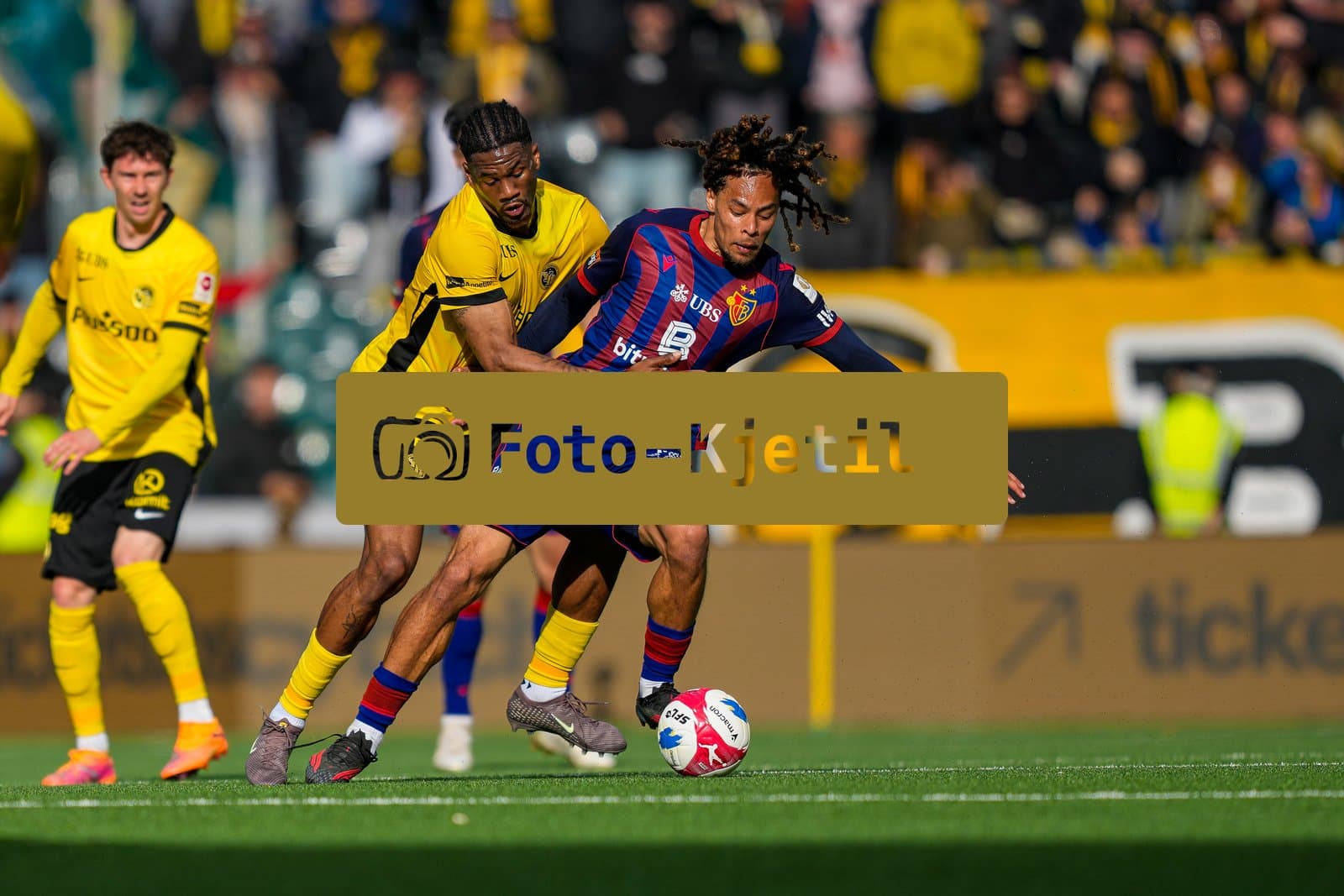 Schweiz: Brack Super League 2025/26, BSC Young Boys vs FC Basel 1893 - Wankdorf Stadion, Bern: Samuel Essende (99 YB) gegen Koba Koindredi (8 FCB)