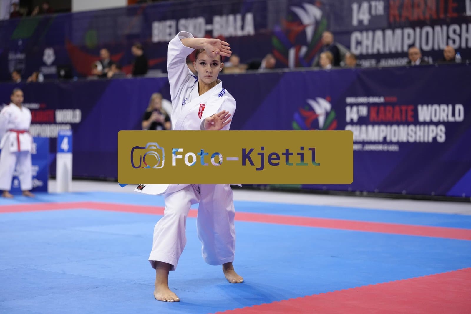 BIELSKO-BIALA, POLAND - OCTOBER 16: This photo was taken during the 2026 World Cadet, Junior & U21 Karate Championships at Hala Pod Debowcem on October 16, 2026 in Bielsko-Biala, Poland.