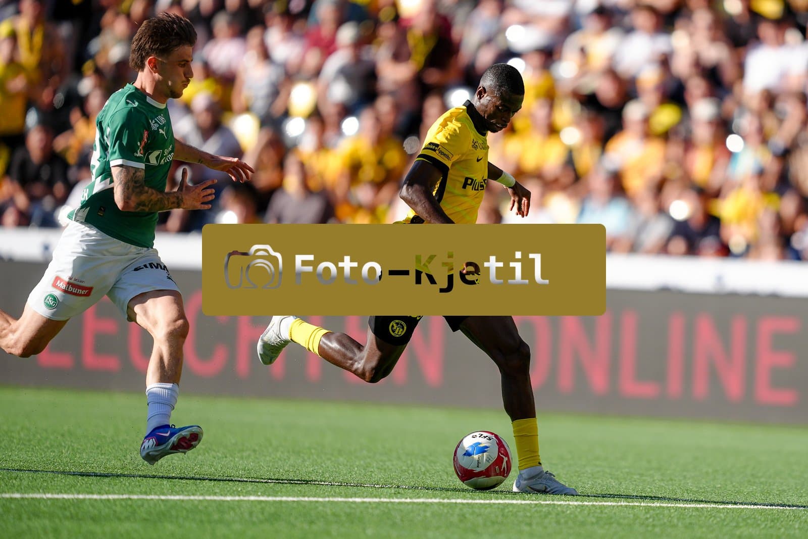 Schweiz: Super League 2025 - 2026, BSC Young Boys vs FC St. Gallen - Stadion Wankdorf, Bern: Ebrima Colley (11 Young Boys) mit dem Ausgleichstreffer zum 1:1