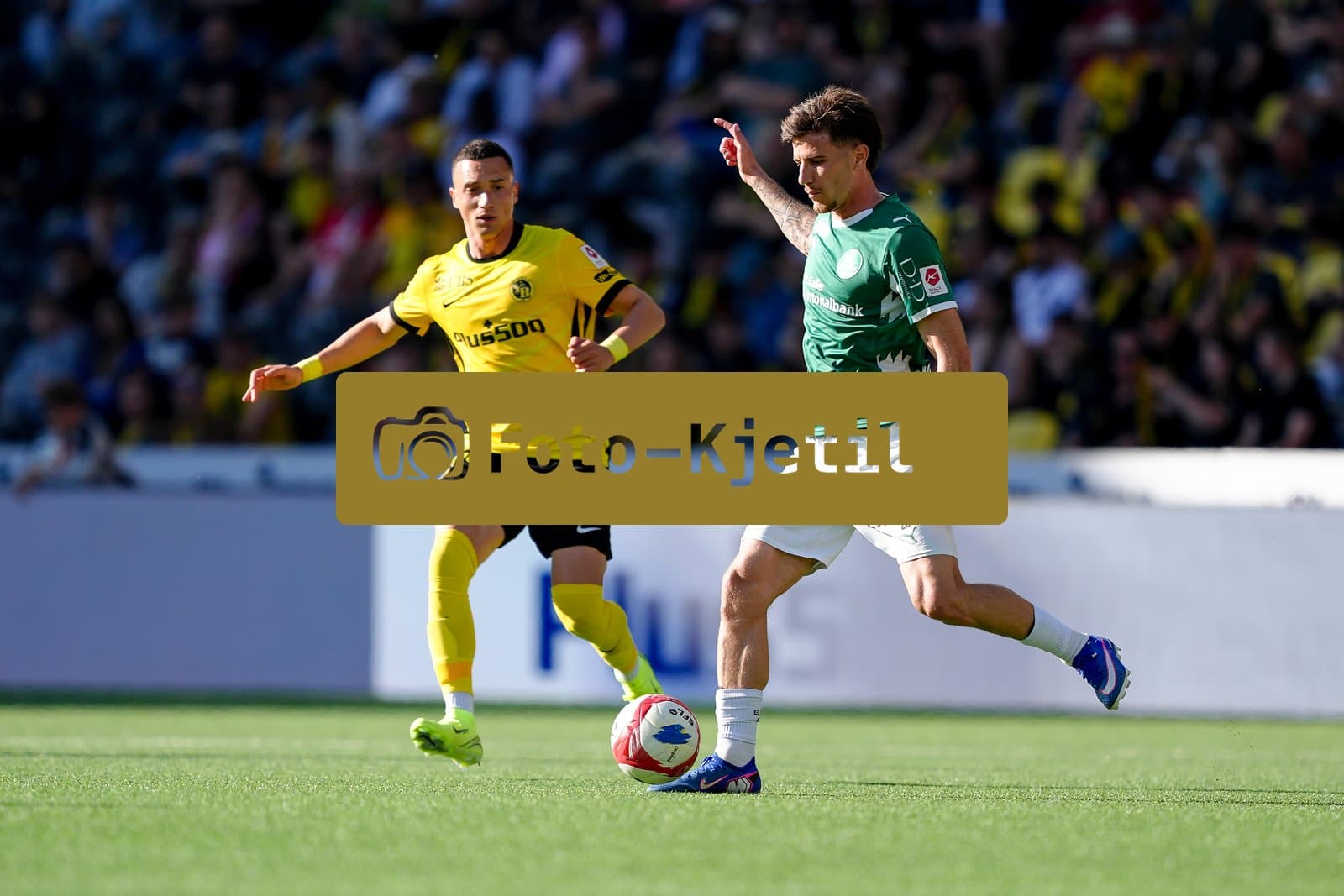 Schweiz: Super League 2025 - 2026, BSC Young Boys vs FC St. Gallen - Stadion Wankdorf, Bern: Hugo Vandermersch (28 St. Gallen)